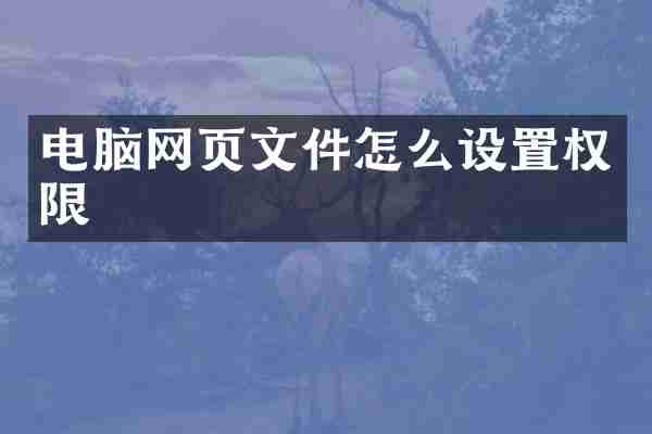 电脑网页文件怎么设置权限