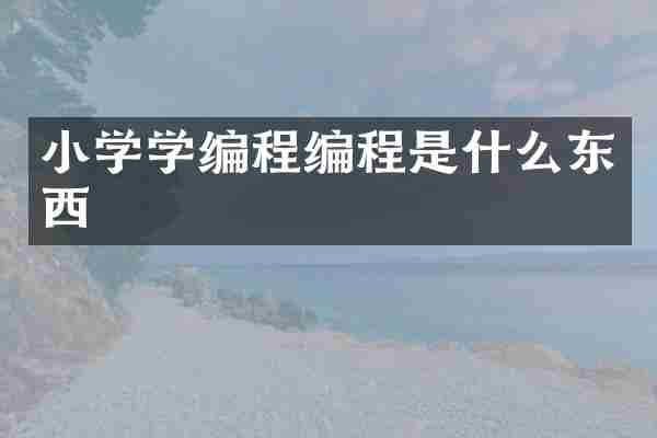 小学学编程编程是什么东西