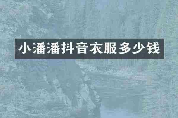 小潘潘抖音衣服多少钱