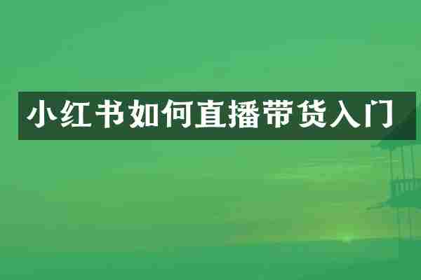 小红书如何直播带货入门