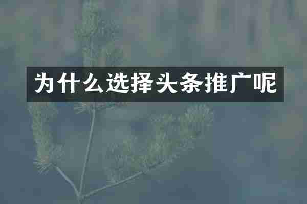 为什么选择头条推广呢