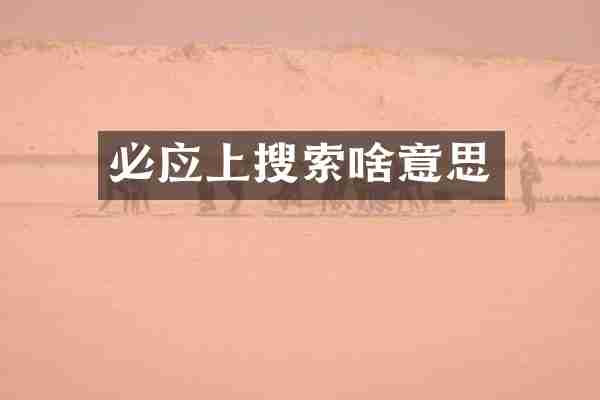 必应上搜索啥意思