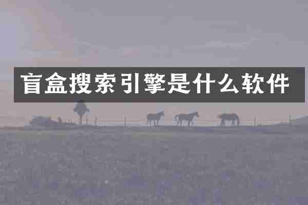 盲盒搜索引擎是什么软件