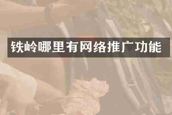铁岭哪里有网络推广功能