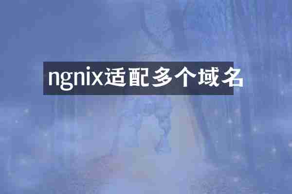 ngnix适配多个域名