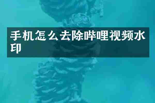 手机怎么去除哔哩视频水印