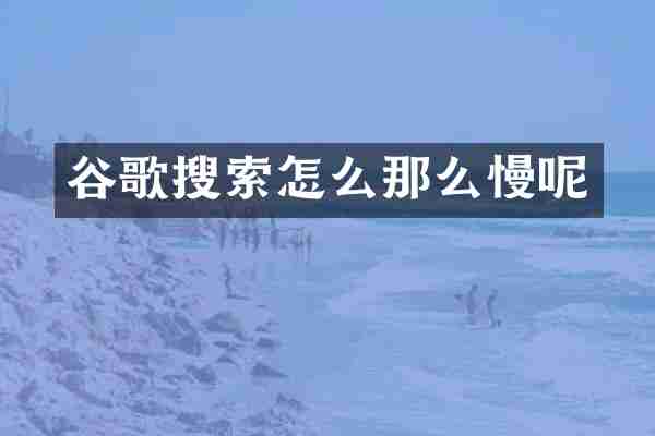 谷歌搜索怎么那么慢呢