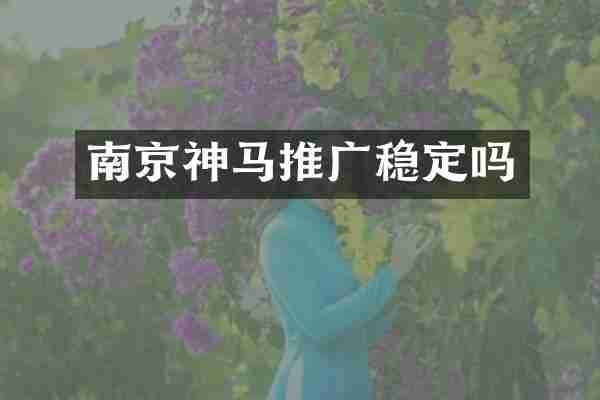 南京神马推广稳定吗