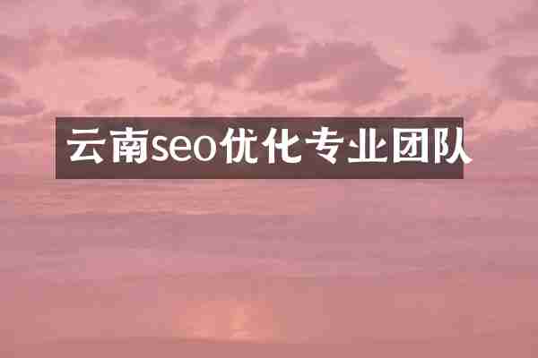云南seo优化专业团队
