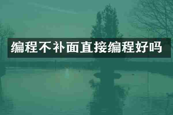 编程不补面直接编程好吗