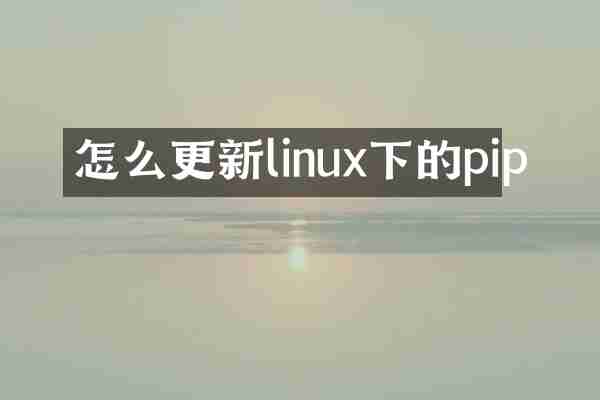 怎么更新linux下的pip