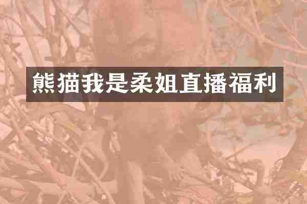 熊猫我是柔姐直播福利