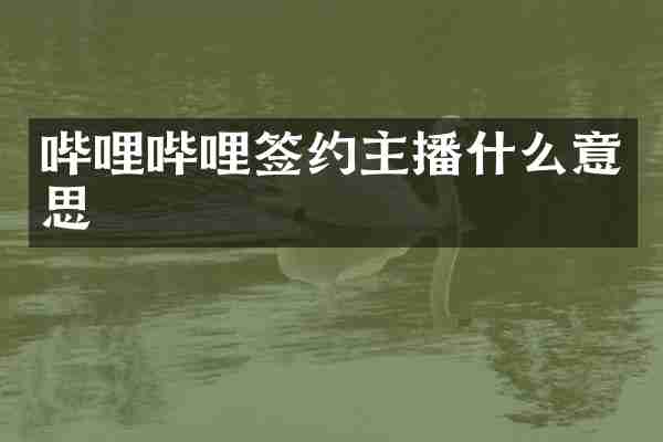哔哩哔哩签约主播什么意思