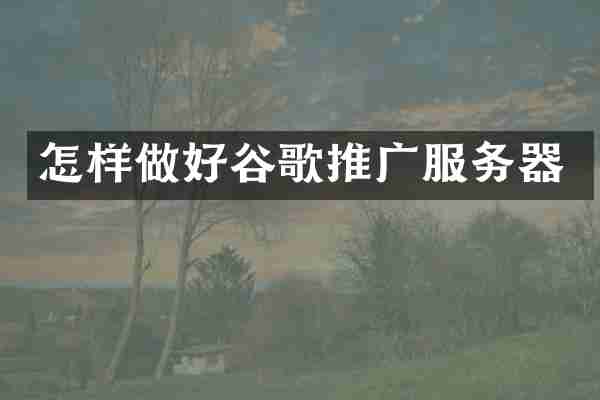 怎样做好谷歌推广服务器
