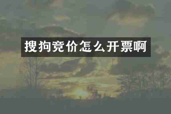 搜狗竞价怎么开票啊