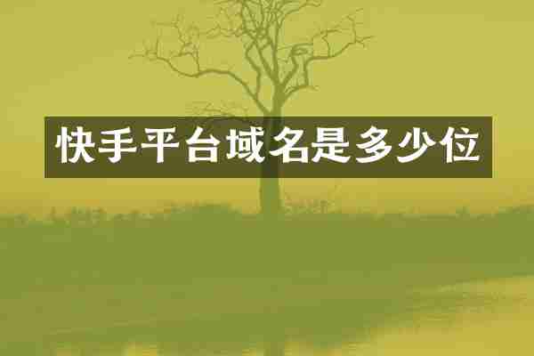 快手平台域名是多少位