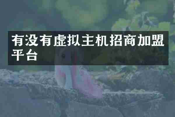 有没有虚拟主机招商加盟平台