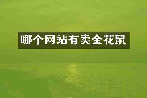 哪个网站有卖金花鼠