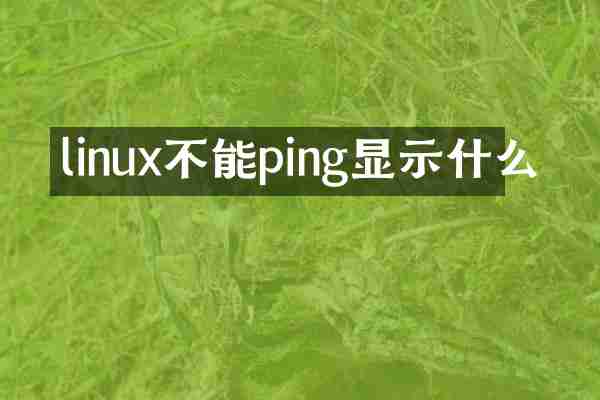 linux不能ping显示什么