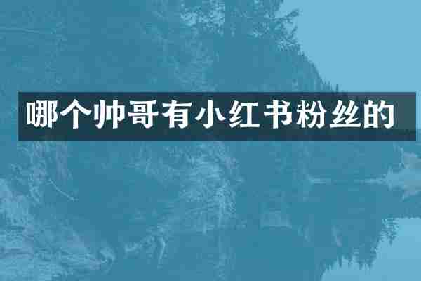 哪个帅哥有小红书粉丝的