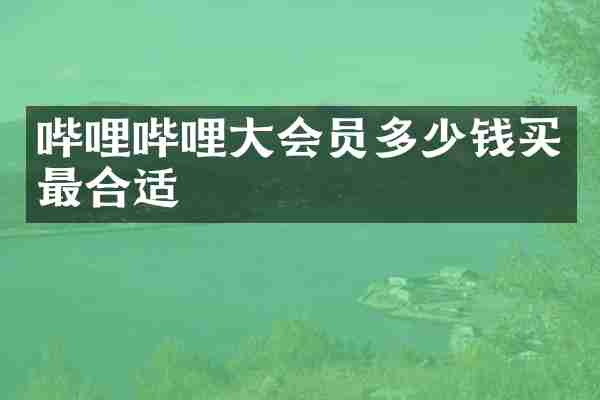 哔哩哔哩大会员多少钱买最合适