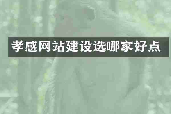 孝感网站建设选哪家好点