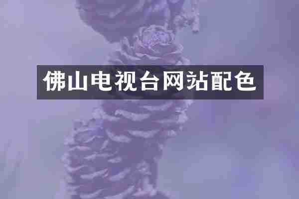 佛山电视台网站配色