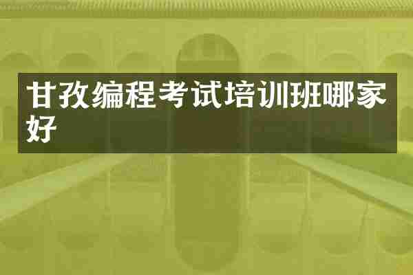 甘孜编程考试培训班哪家好
