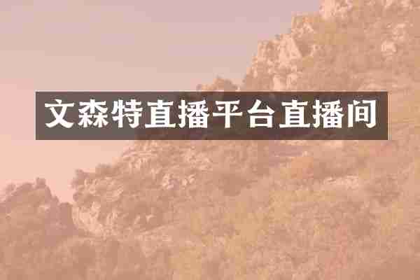 文森特直播平台直播间