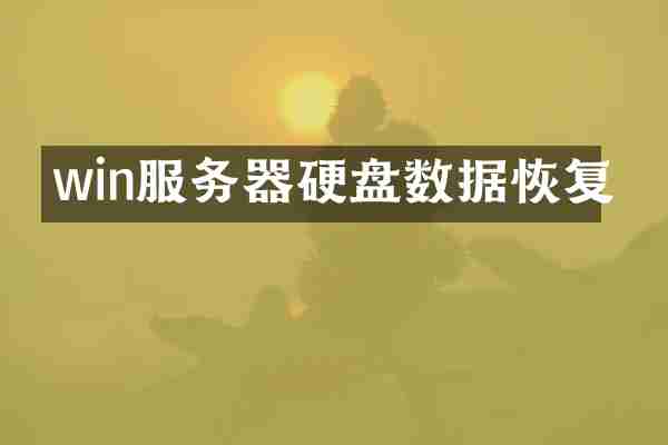 win服务器硬盘数据恢复