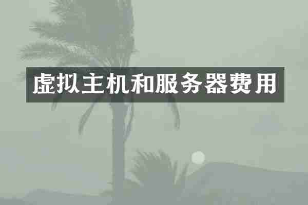 虚拟主机和服务器费用