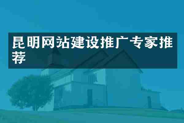 昆明网站建设推广专家推荐