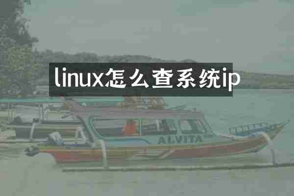 linux怎么查系统ip