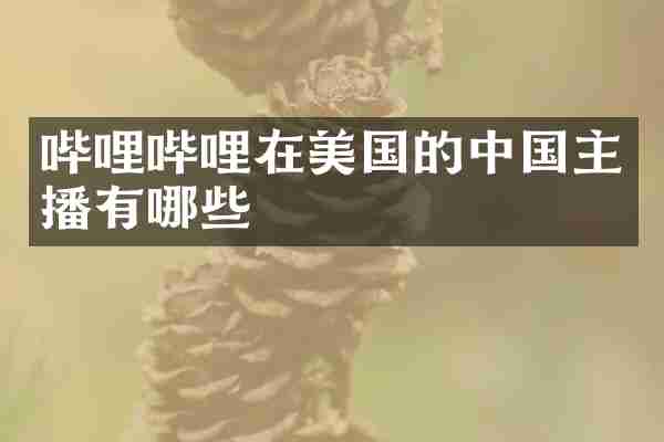 哔哩哔哩在美国的中国主播有哪些