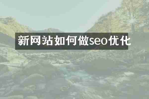 新网站如何做seo优化