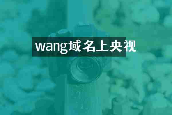 wang域名上央视