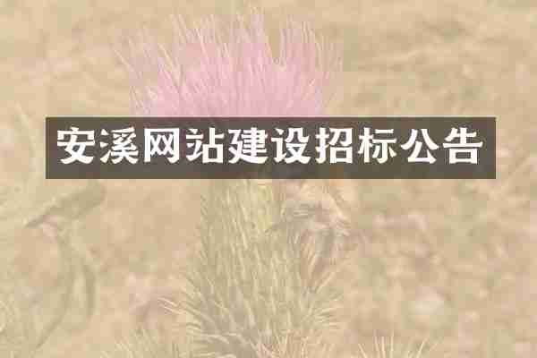 安溪网站建设招标公告