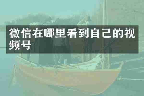 微信在哪里看到自己的视频号