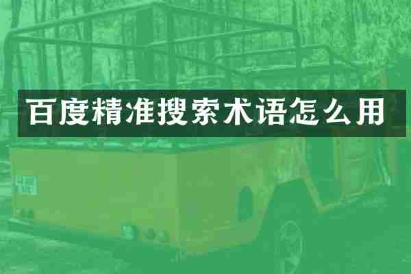 百度精准搜索术语怎么用