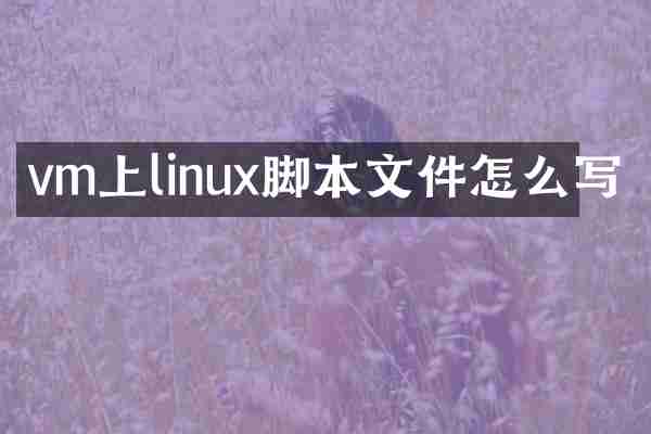 vm上linux脚本文件怎么写
