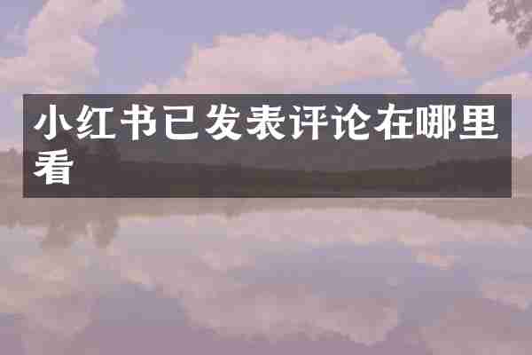 小红书已发表评论在哪里看