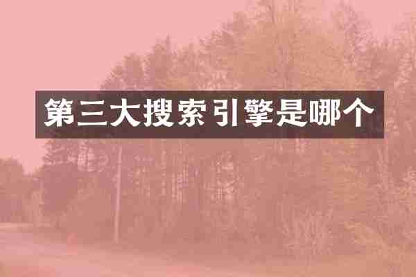 第三大搜索引擎是哪个