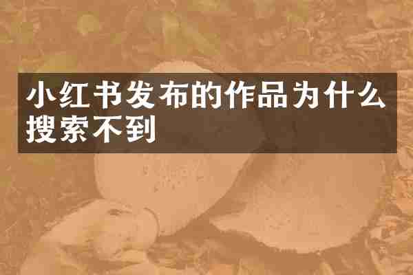 小红书发布的作品为什么搜索不到
