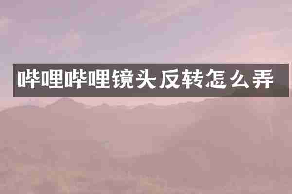 哔哩哔哩镜头反转怎么弄