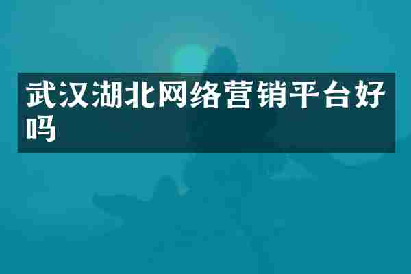 武汉湖北网络营销平台好吗