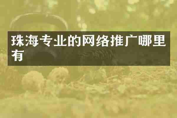 珠海专业的网络推广哪里有