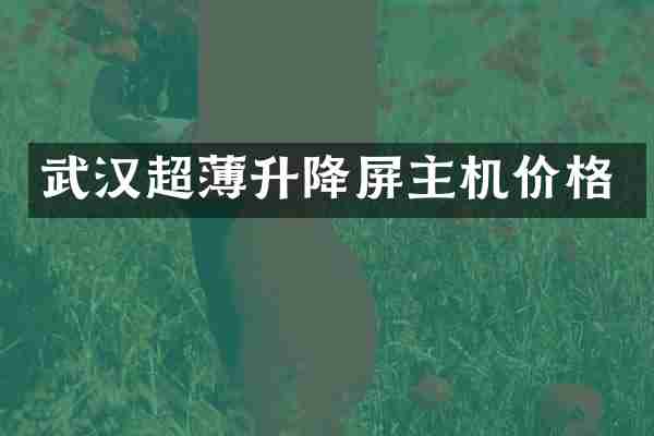 武汉超薄升降屏主机价格