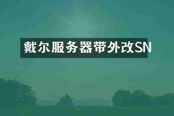 戴尔服务器带外改SN