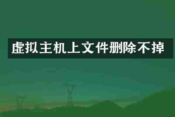 虚拟主机上文件删除不掉