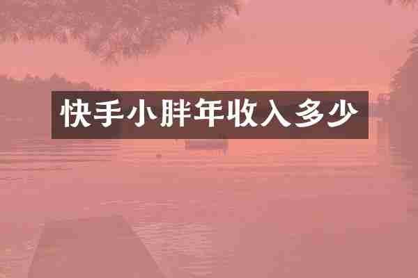 快手小胖年收入多少